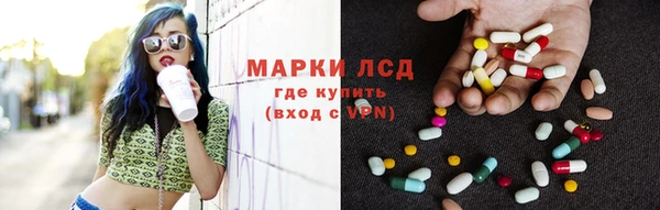 индика Алексин
