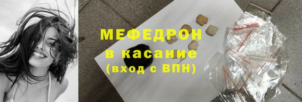 индика Алексин