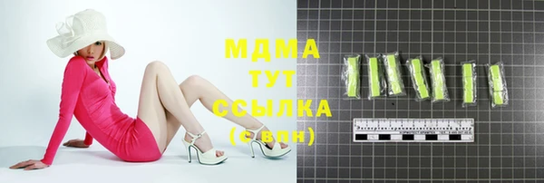 индика Алексин