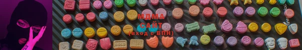 индика Алексин