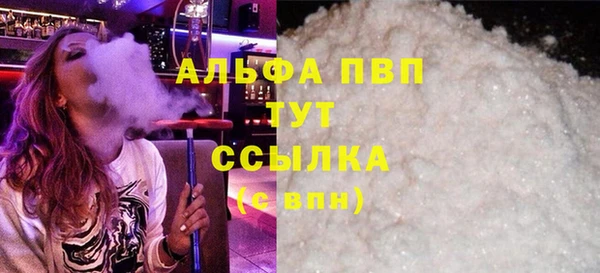 индика Алексин