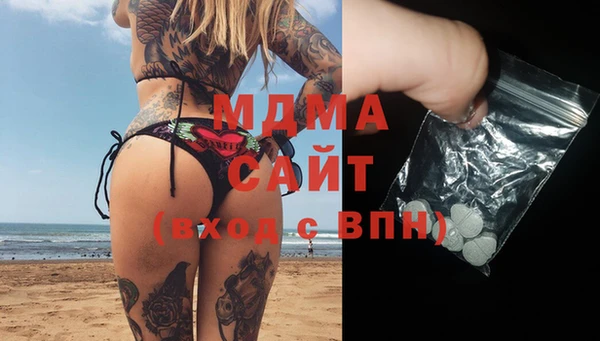 индика Алексин
