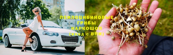 индика Алексин