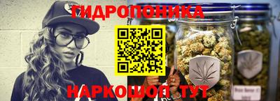jwh Новодвинск
