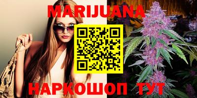 мдпв Новозыбков