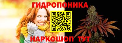 гашиш Новокубанск
