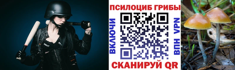 блэк спрут ТОР  Ставрополь  Псилоцибиновые грибы ЛСД 