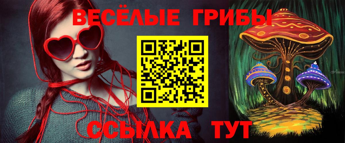 Псилоцибиновые грибы прущие грибы  продажа наркотиков  Ставрополь  Вход с VPN 