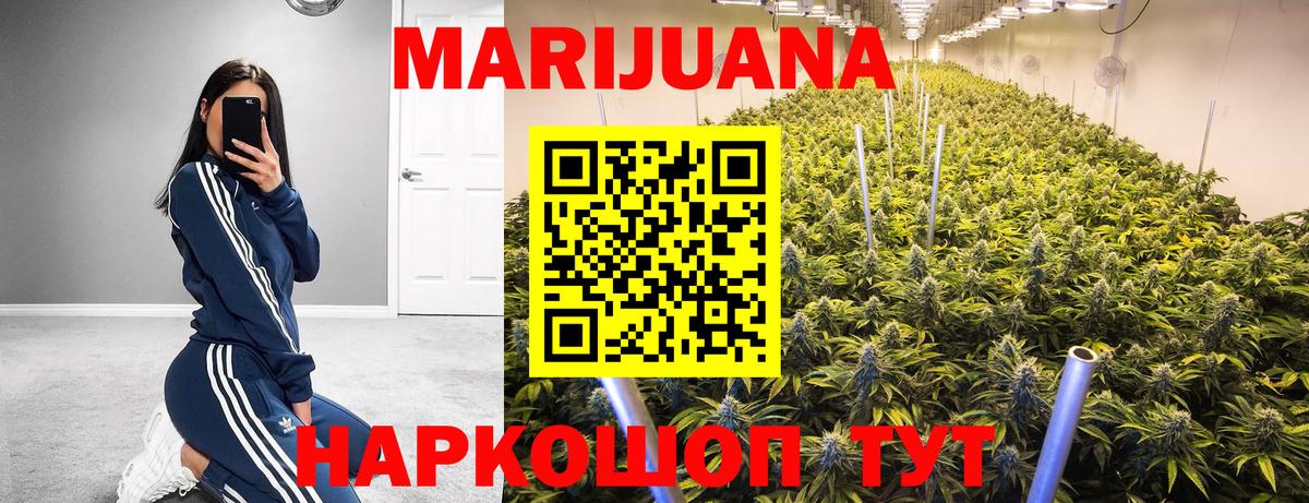 Конопля конопля Ставрополь
